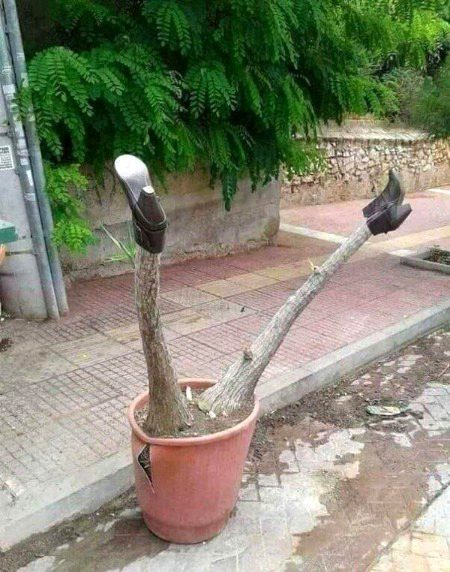 Memes & Satire image