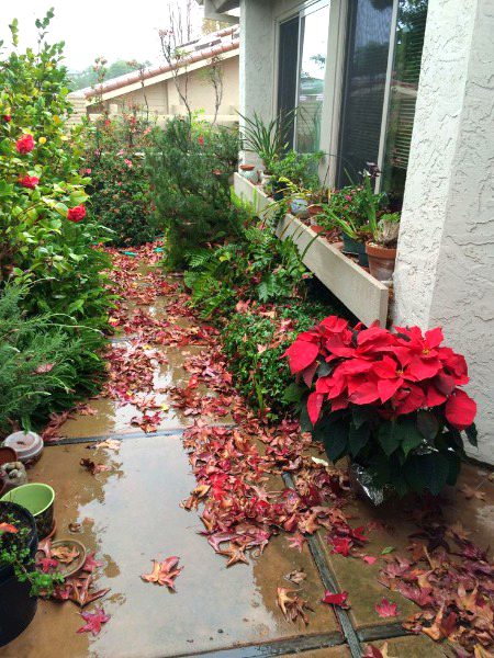 Beautiful Nature image