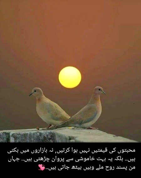 Very nice