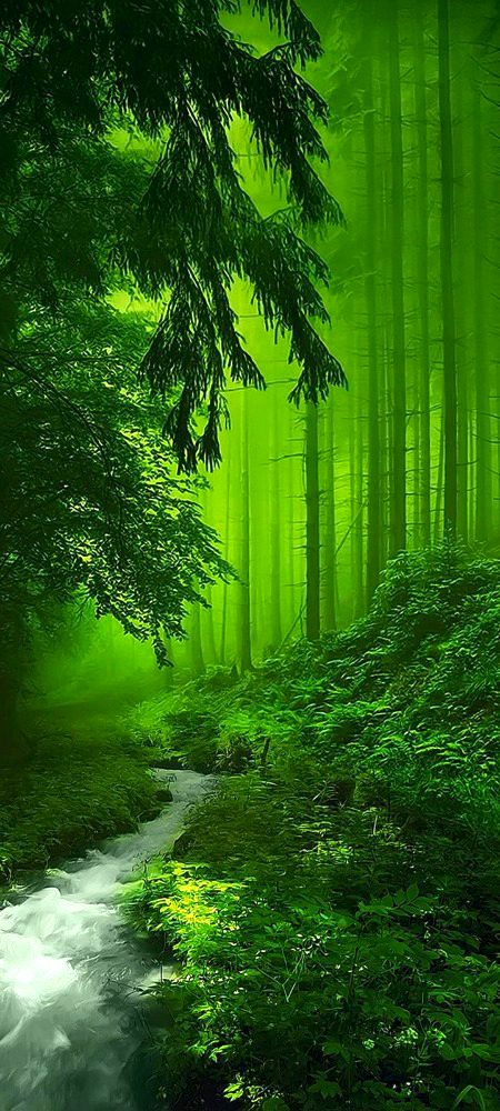 Beautiful Nature image