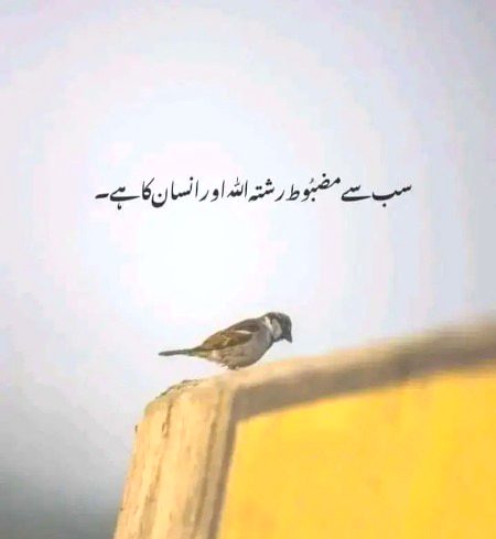 Islamic Quotes image
