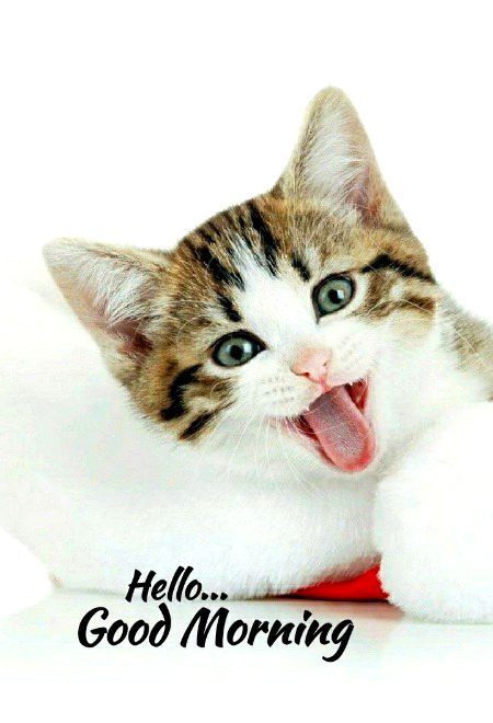 Beautiful Nature image