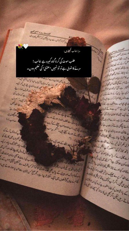 Sad Poetry image