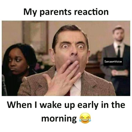 Memes & Satire image