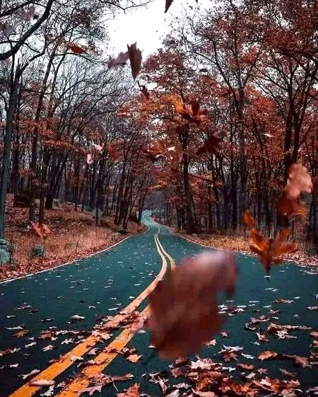 Beautiful Nature image