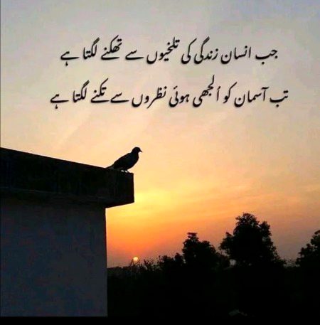 جب انسان زندگی کی تلخیوں سے تھکنے لگتا ہے
❤️ تب آسمان کو الجھی ہوئی نظروں سے تکنے لگتا ہے.🥀