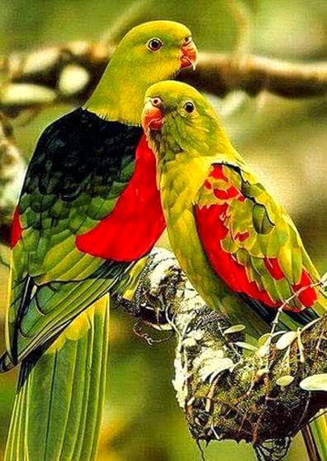 Beautiful Nature image