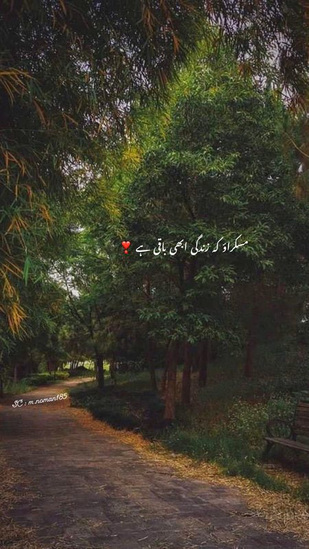 مسکراؤ کے زندگی ابھی باقی ہے💟