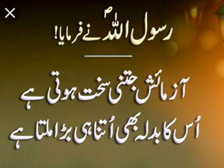 Islamic Quotes image