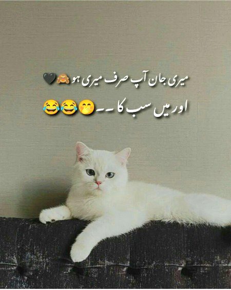 Jokes image