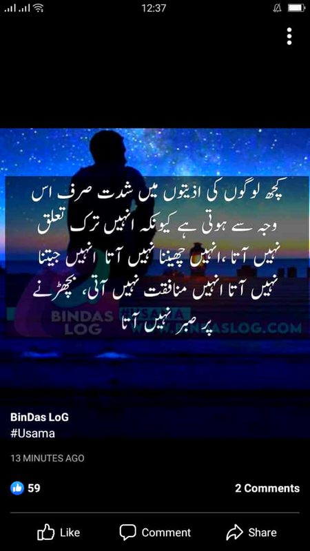 True🔥🔥🔥🔥
