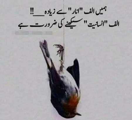 Life Advice image