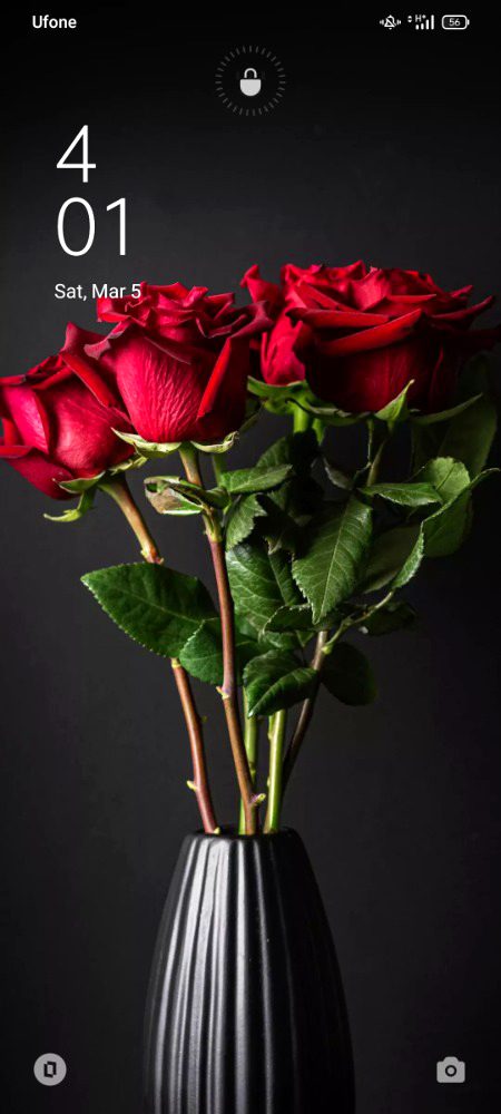 Beautiful Nature image