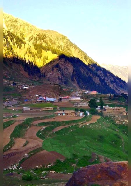 Beautiful Nature image