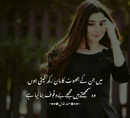 وہ سمجھتے ہیں