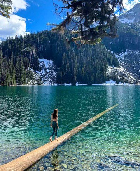 Beautiful nature💚💚💚