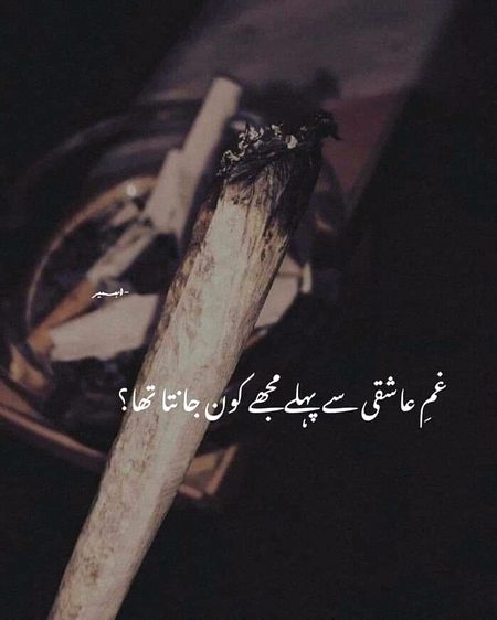 Teri Zaat ny Bna di mEri Zindagi Fasana 🔥💯