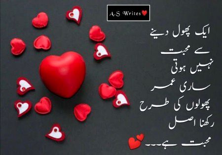 Ap ek phool ho apki hifazat mra frz h S