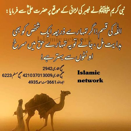 Islamic Quotes image