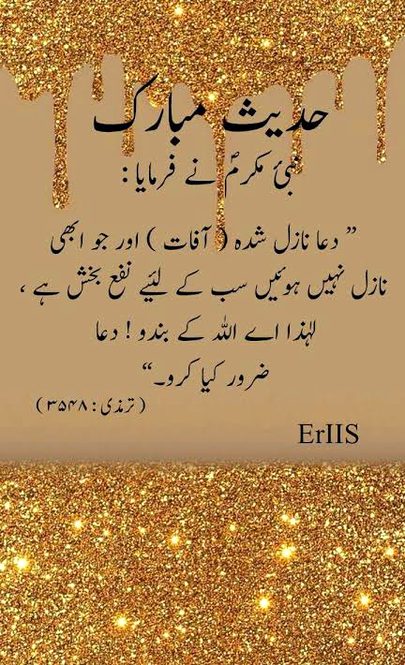 🍁Zoq_Shab🍁