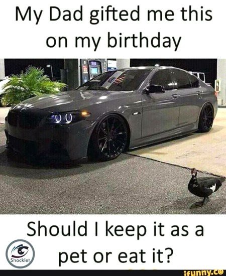 Memes & Satire image