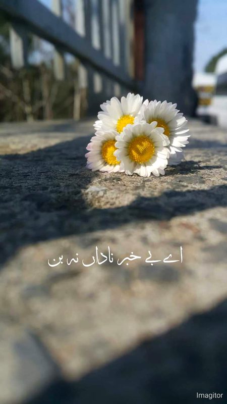 Beautiful Nature image