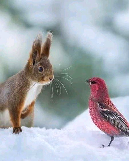 Beautiful Nature image