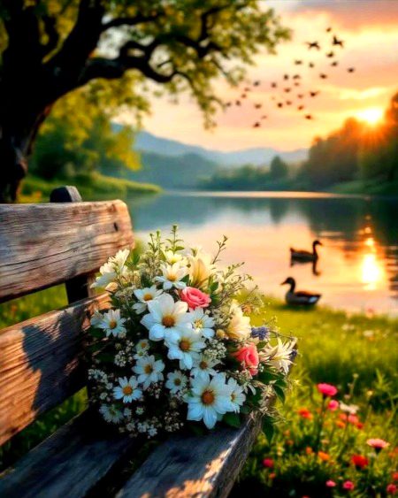 Beautiful Nature image