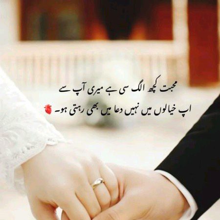 Allah Hafiz T C Happy Dreams 🙏🙏🙏