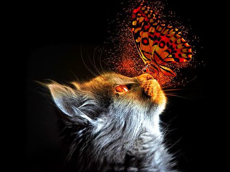 Digital Art image