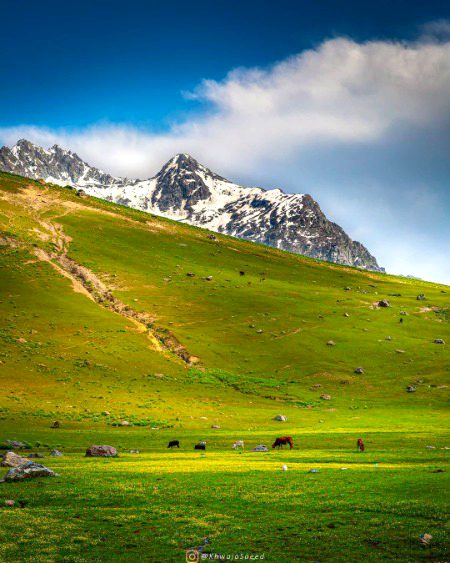 Beautiful Nature image