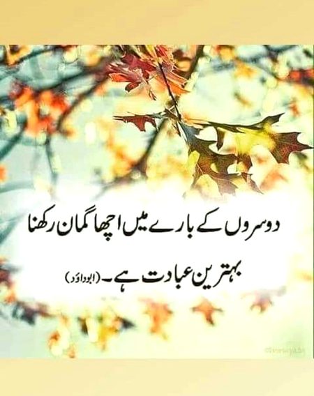 beshak 🌹🍀🌹🍀🌹🍀