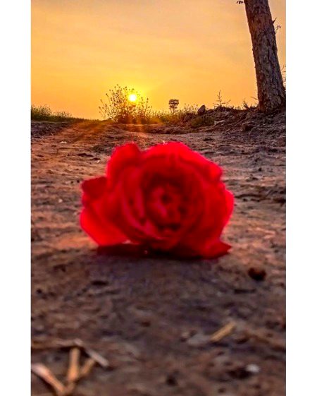 تمہارے شہر کا موسم بڑا سہانا لگے
میں اک شام چرا لوں اگر برا نہ لگے