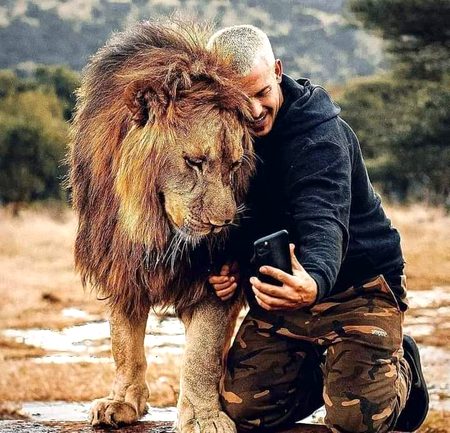 Wowwww🦁