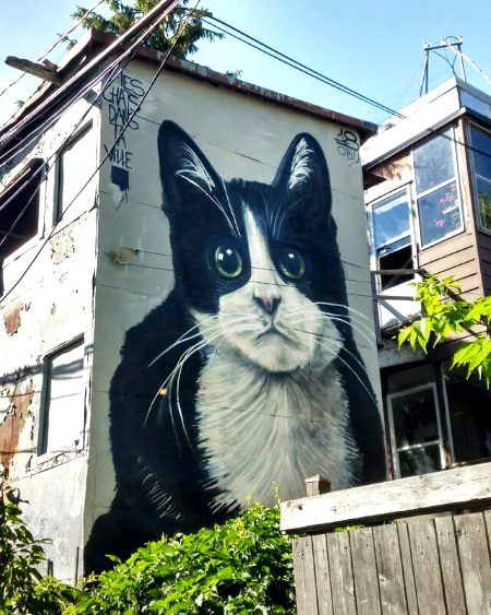 Street Art image