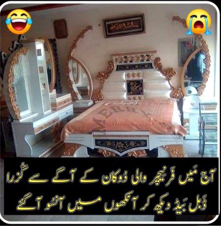 Memes & Satire image