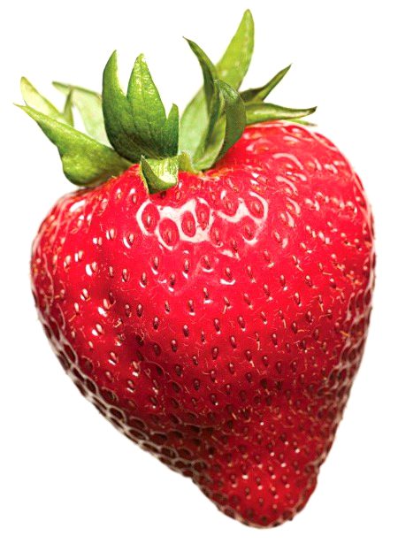 Strabeery❤️❤️❤️❤️