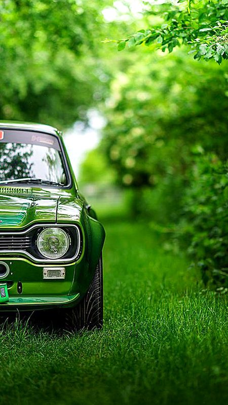 Beautiful Nature image