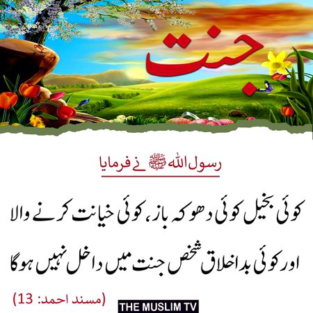 Islamic Quotes image