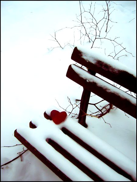 Beautiful Nature image