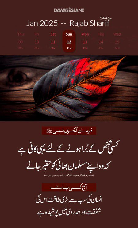Islamic Quotes image