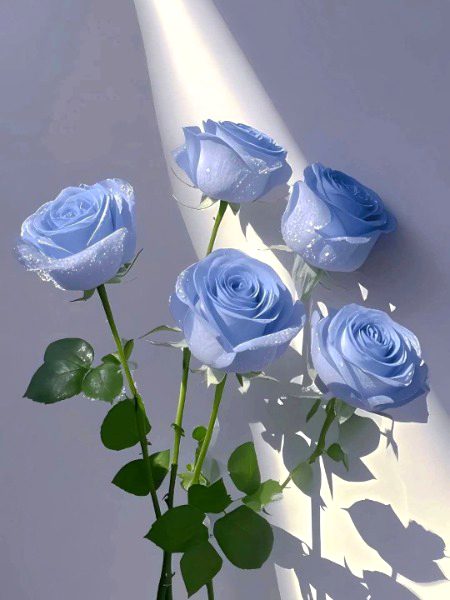 Beautiful Nature image