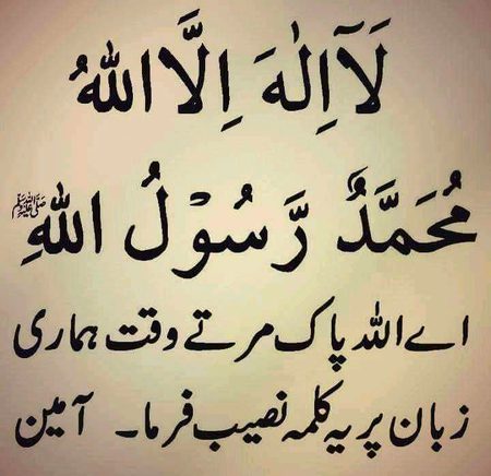 Islamic Quotes image