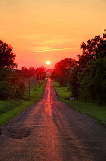Beautiful Nature image