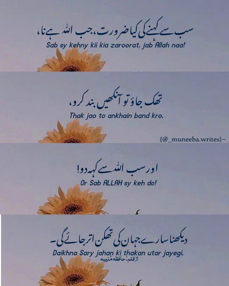 Islamic Quotes image
