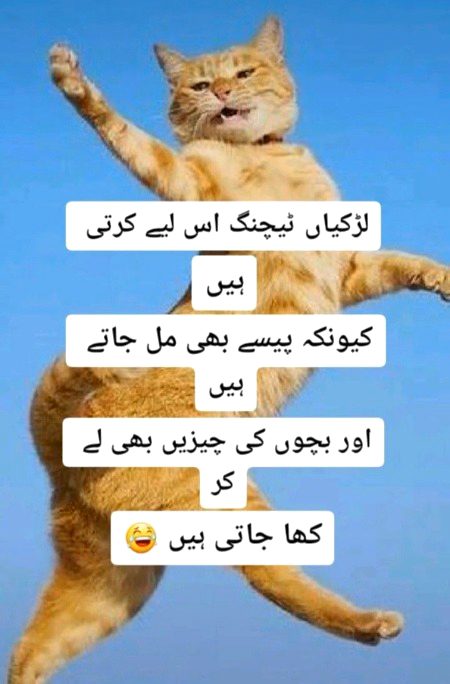 Sachi yr