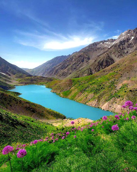 Beautiful Nature image