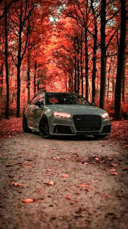 Beautiful Nature image