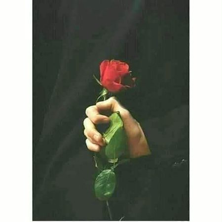 ہر شخص چاہتا ہے اخلاص سراسر!!🌝🍁💁
ہر ایک کو درکار ہے یکطرفہ مخلصی!!💯🎭🌚
🌼✨