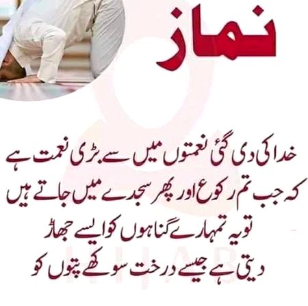 Islamic Quotes image